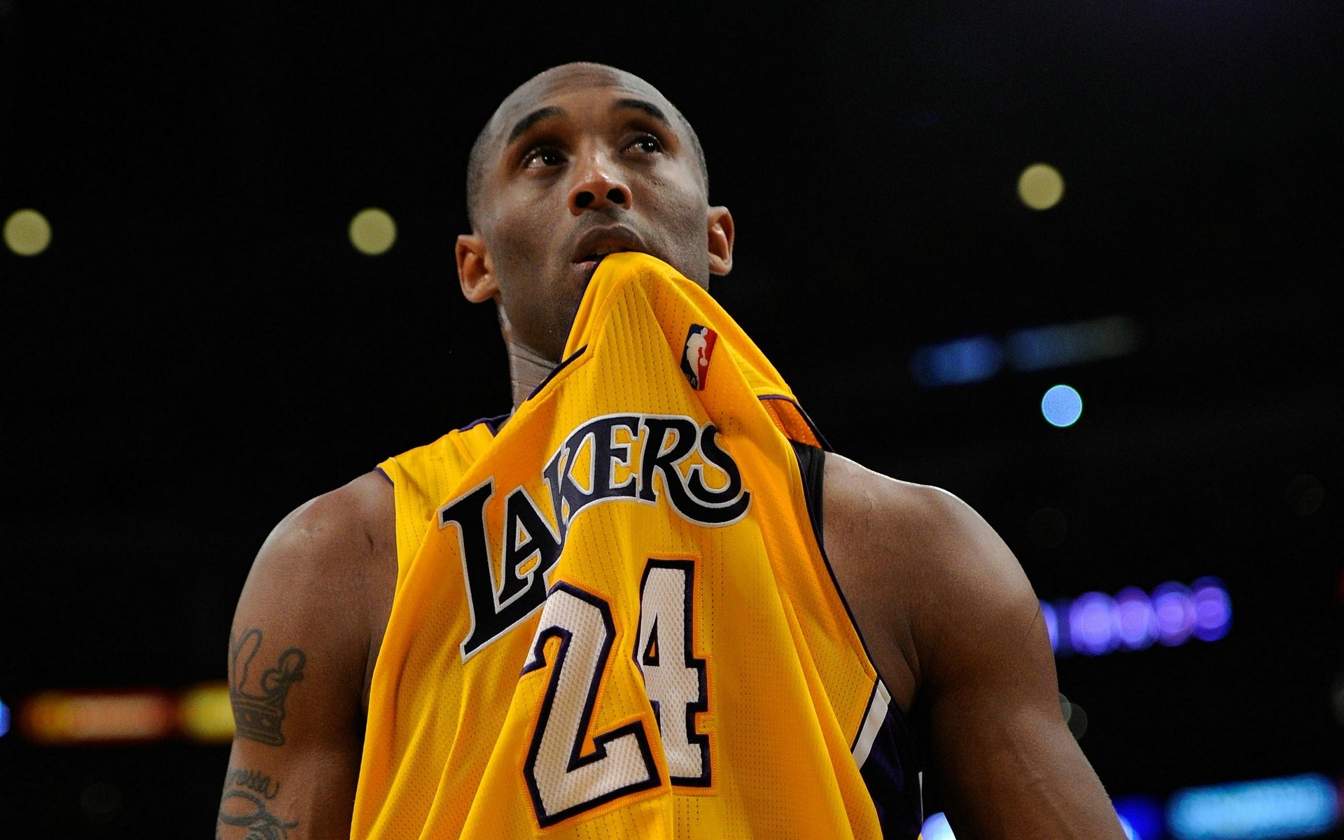 团战容错迅 团战容错迅